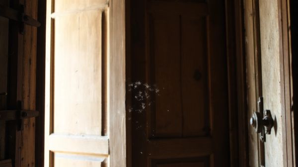 7 astuces pour améliorer l'isolation d'une porte en bois